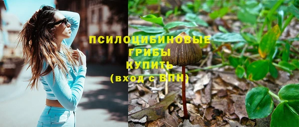 2c-b Арсеньев