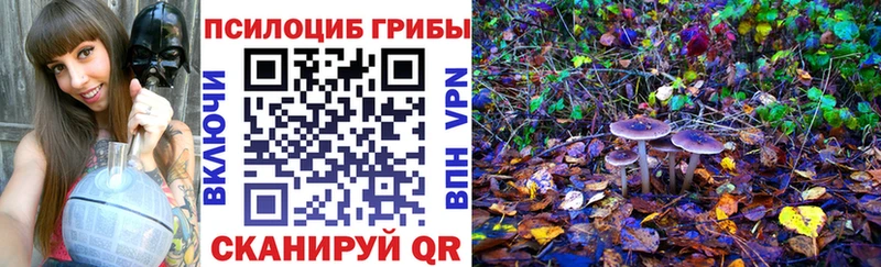 OMG зеркало  Судак  Галлюциногенные грибы GOLDEN TEACHER 